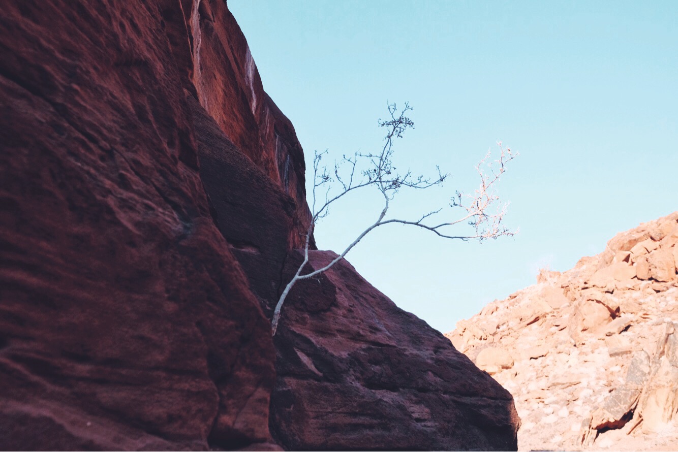 Twyfelfontein Country Lodge_Photographer Georgia Jauslin12